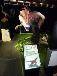 Statue of a Utahraptor at the Upper Floor of the Museum Building of the Oertijdmuseum, with explanation