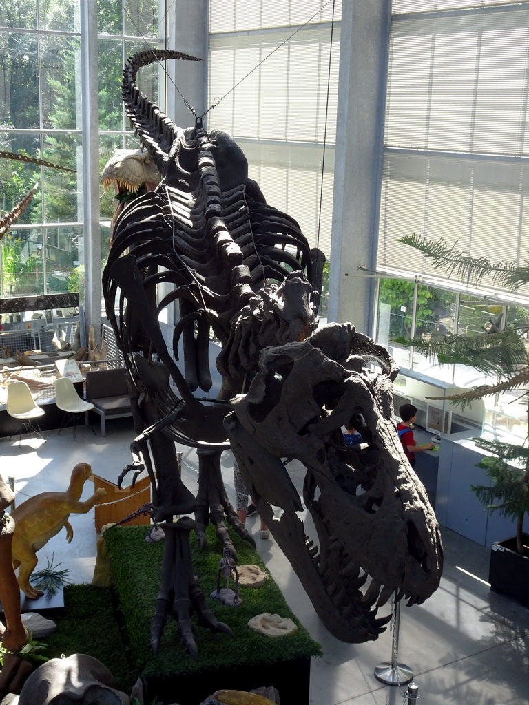 Skeleton of the Tyrannosaurus Rex `Sue` at the Lower Floor of the Dinohal building of the Oertijdmuseum, viewed from the Middle Floor