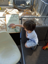Max with a dinosaur toy and the skeleton of a Saichania at the Lower Floor of the Dinohal building of the Oertijdmuseum, with explanation