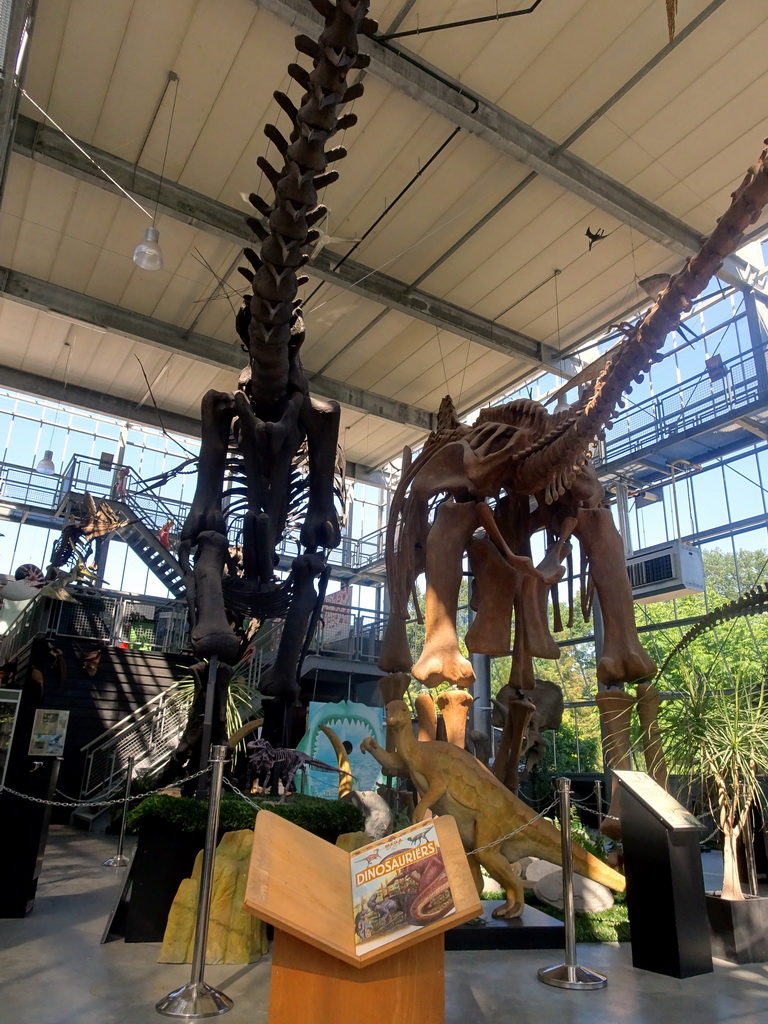 Dinosaur skeletons and book at the Lower Floor of the Dinohal building of the Oertijdmuseum