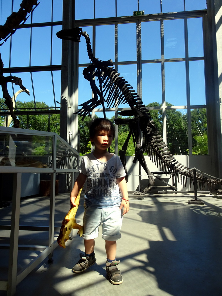 Max with a dinosaur toy and dinosaur skeletons at the Lower Floor of the Dinohal building of the Oertijdmuseum