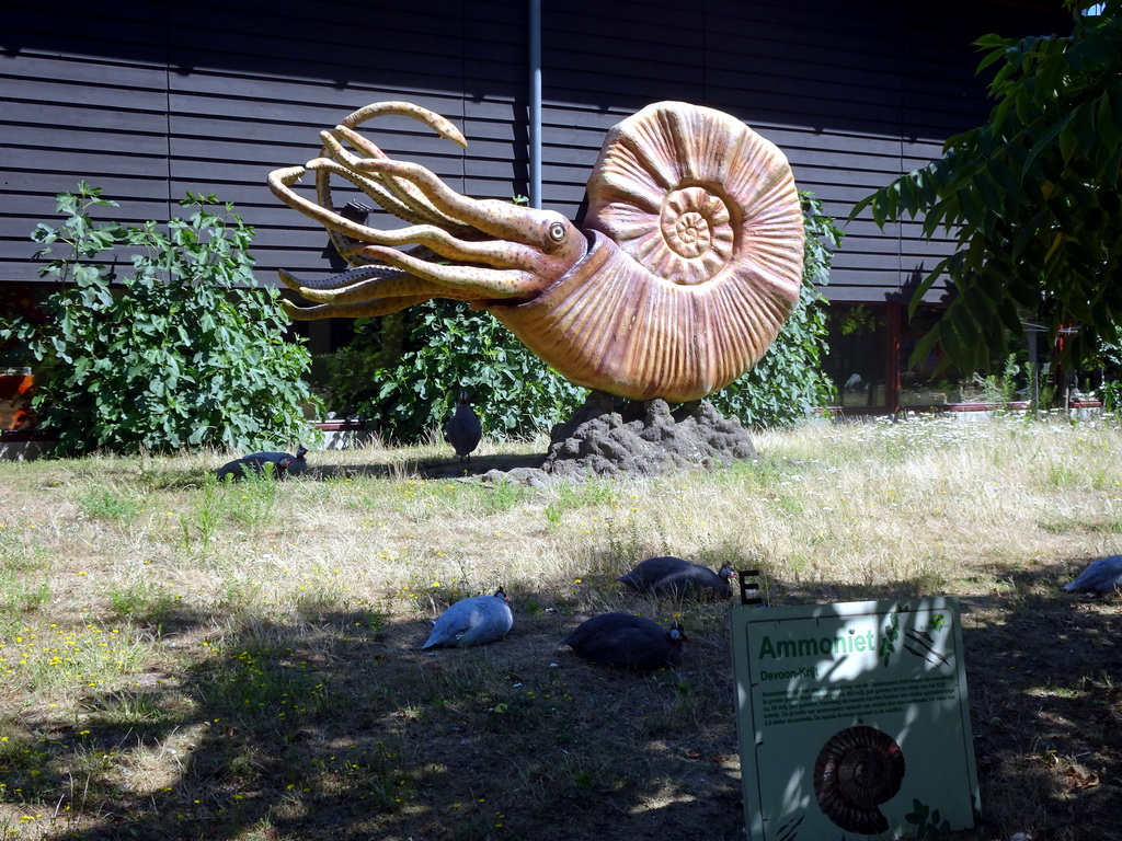 Guineafowls and a statue of an Ammonite in the Garden of the Oertijdmuseum, with explanation