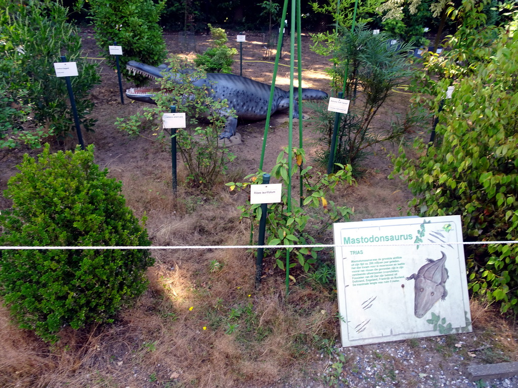 Statue of a Mastodonsaurus in the Garden of the Oertijdmuseum, with explanation