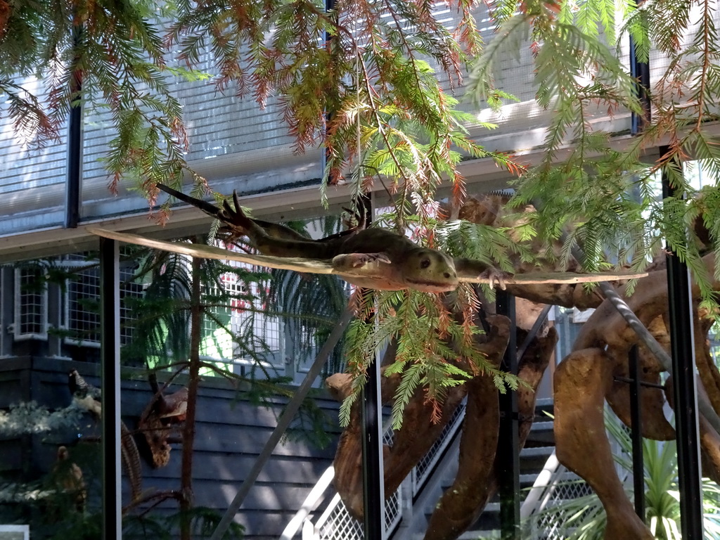 Statue of a Kuehneosaurus in the Garden of the Oertijdmuseum