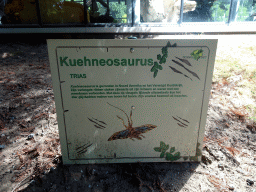 Explanation on the Kuehneosaurus in the Garden of the Oertijdmuseum