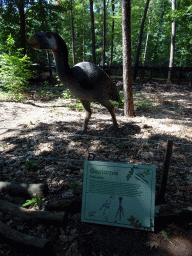 Statue of a Gastornis in the Oertijdwoud forest of the Oertijdmuseum, with explanation