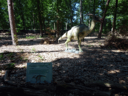 Statue of a Parasaurolophus in the Oertijdwoud forest of the Oertijdmuseum, with explanation