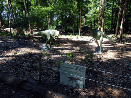 Statues of Allosauruses in the Oertijdwoud forest of the Oertijdmuseum, with explanation