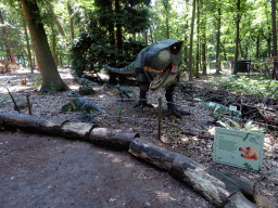 Statues of Tyrannosauruses Rex in the Oertijdwoud forest of the Oertijdmuseum, with explanation