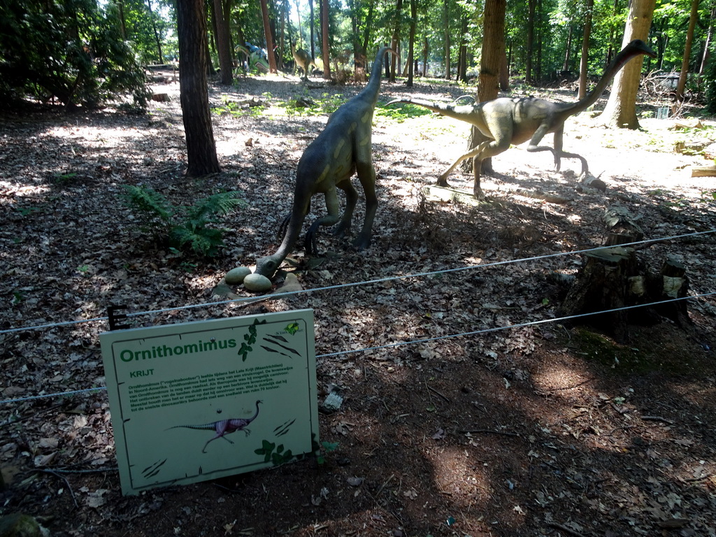 Statues of Ornithomimuses in the Oertijdwoud forest of the Oertijdmuseum, with explanation