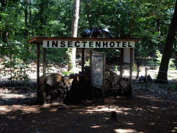 Insect Hotel in the Oertijdwoud forest of the Oertijdmuseum