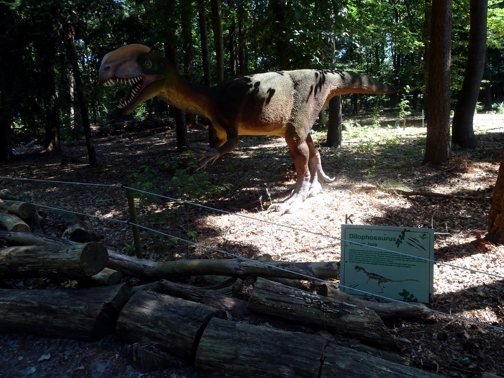 Statue of a Dilophosaurus in the Oertijdwoud forest of the Oertijdmuseum, with explanation