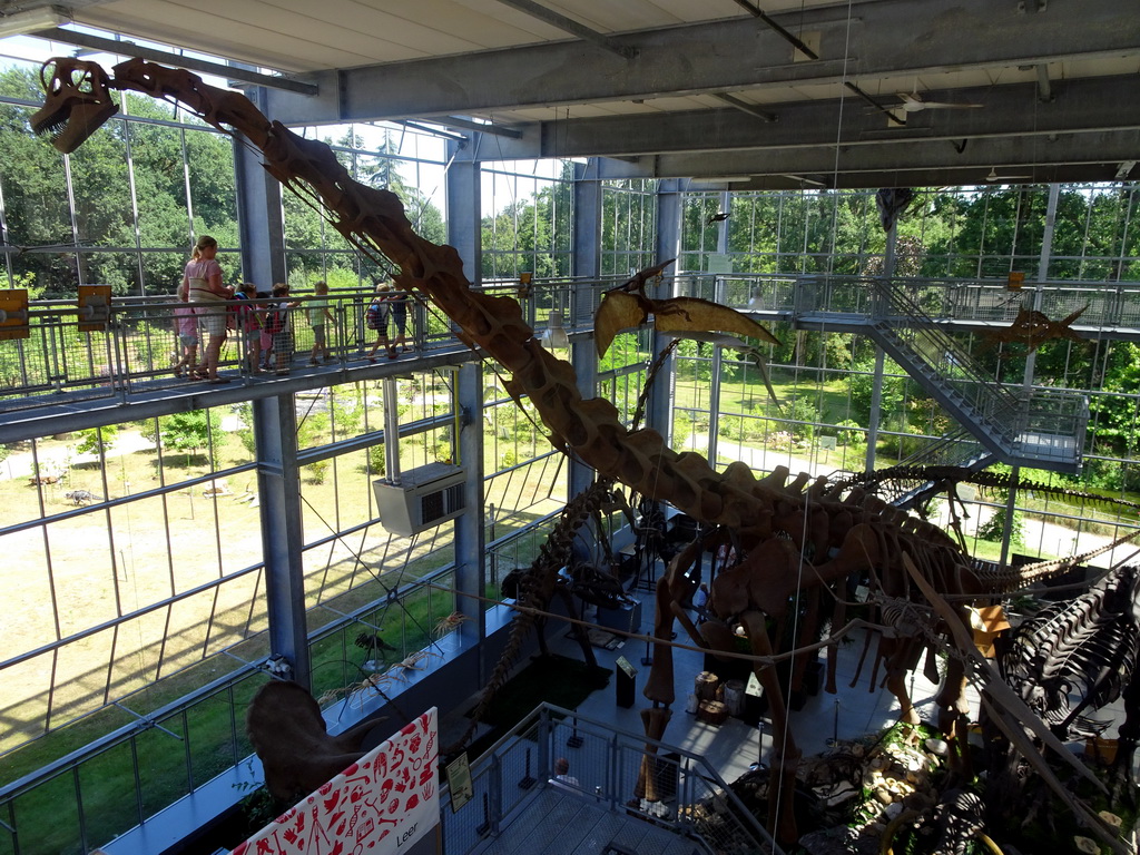 Skeletons of a Brachiosaurus and other dinosaurs in the Dinohal building of the Oertijdmuseum, viewed from the Upper Floor