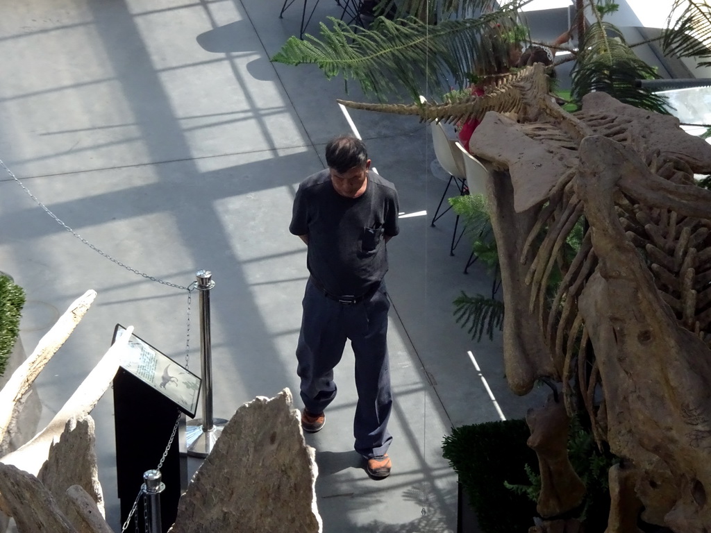 Miaomiao`s father at the Lower Floor of the Dinohal building of the Oertijdmuseum, viewed from the Upper Floor