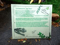 Information on the skeleton of the Tyrannosaurus Rex `Sue`, at the entrance to the Oertijdmuseum at the Bosscheweg street