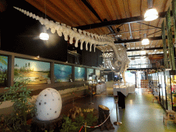 Statue of a Dinosaur egg and skeleton of Casper the Sperm Whale at the Lower Floor of the Museum Building of the Oertijdmuseum