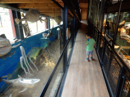 Max at the walkway from the Lower Floor to the Upper Floor at the Museum Building of the Oertijdmuseum