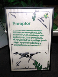 Explanation on the Eoraptor at the Upper Floor of the Museum Building of the Oertijdmuseum