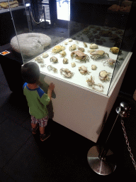 Max with stuffed crabs at the Upper Floor of the Museum Building of the Oertijdmuseum