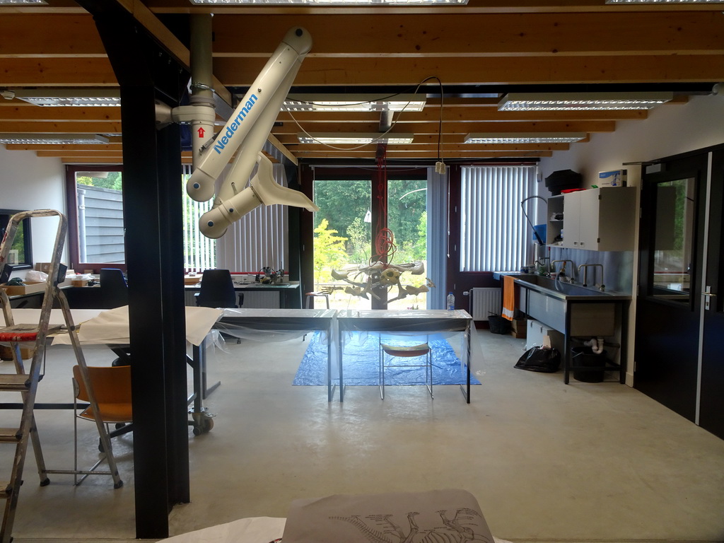 Interior of the paleontological laboratory at the Upper Floor of the Museum Building of the Oertijdmuseum