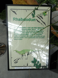 Explanation on the Rhabdodon at the Lower Floor of the Dinohal building of the Oertijdmuseum