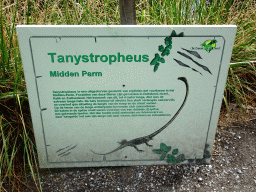 Explanation on the Tanystropheus in the Garden of the Oertijdmuseum