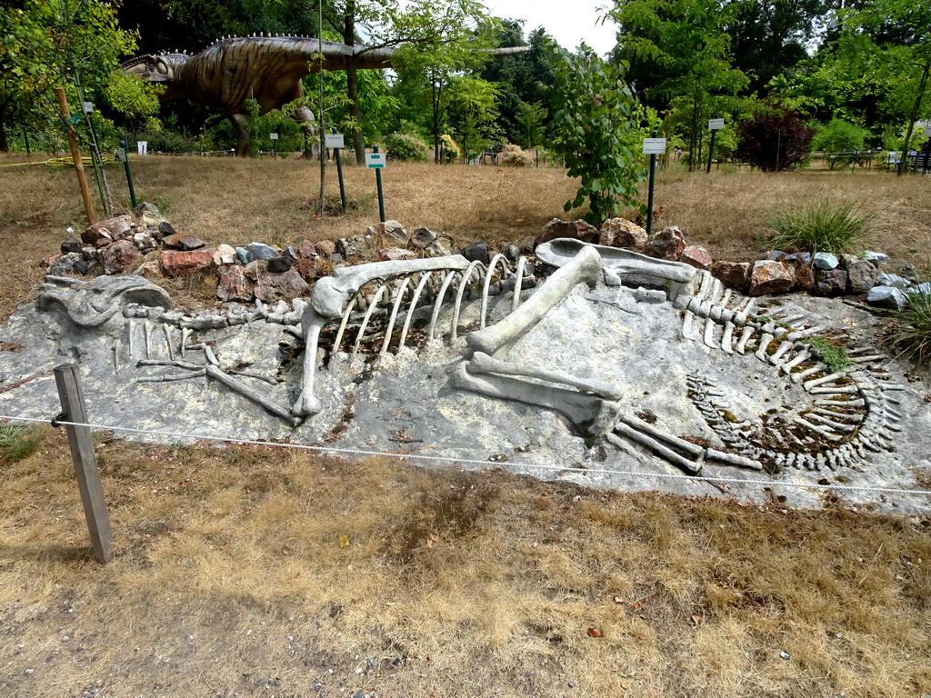 Skeleton of a Dinosaur in the Garden of the Oertijdmuseum