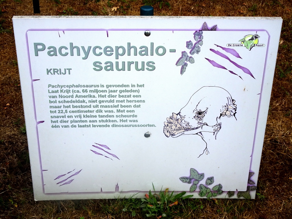 Explanation on the Pachycephalosaurus in the Garden of the Oertijdmuseum
