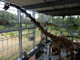 The Dinohal building of the Oertijdmuseum, viewed from the Upper Floor