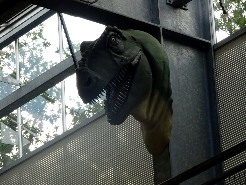 Statue of a Tyrannosaurus Rex head at the Upper Floor of the Dinohal building of the Oertijdmuseum