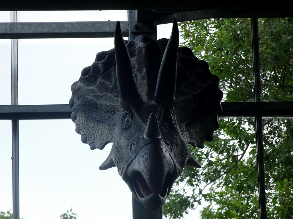 Statue of a Triceratops head at the Upper Floor of the Dinohal building of the Oertijdmuseum