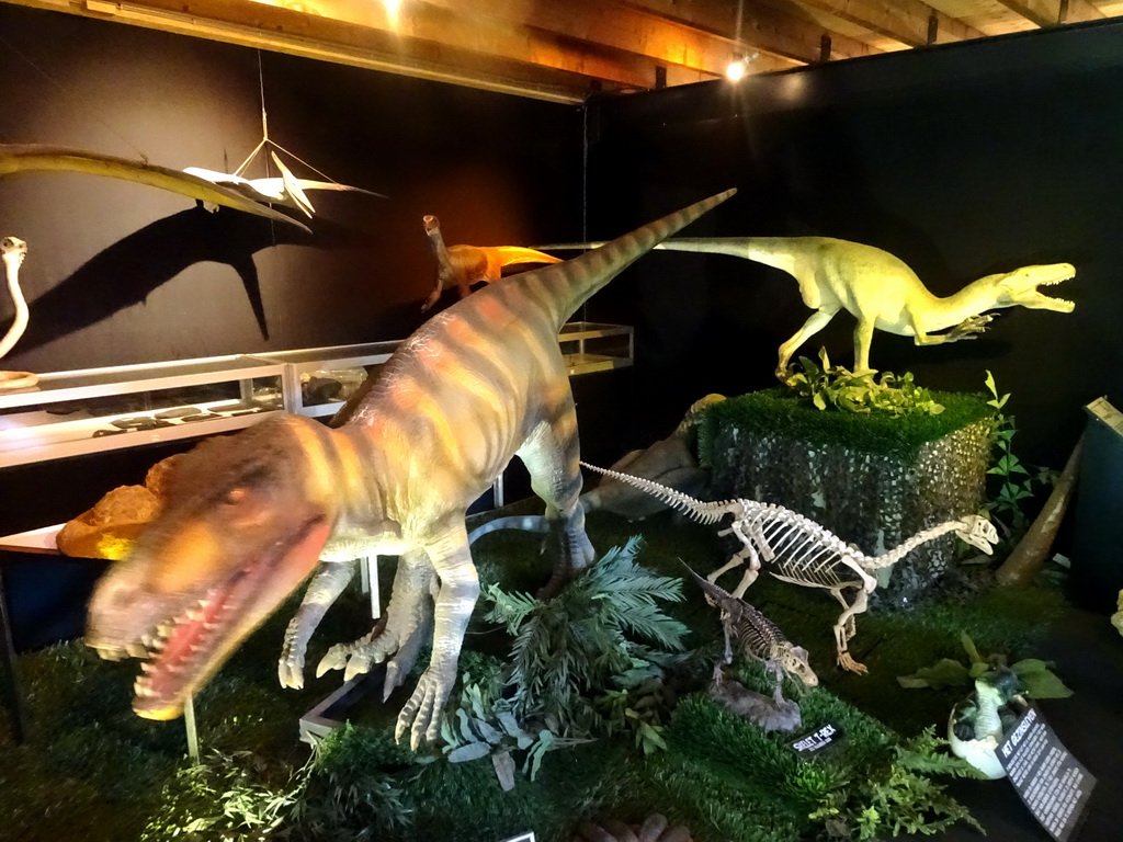 Statues and skeletons of a Herrerasaurus and other Dinosaurs at the Upper Floor of the Museum Building of the Oertijdmuseum