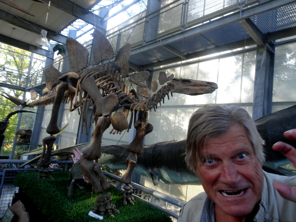 Tim`s father with a skeleton of a Stegosaurus at the Middle Floor of the Dinohal building of the Oertijdmuseum