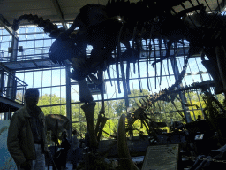 Tim`s father with the skeleton of the Tyrannosaurus Rex `Sue` at the Lower Floor of the Dinohal building of the Oertijdmuseum