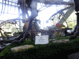 Dinosaur skeletons at the Lower Floor of the Dinohal building of the Oertijdmuseum
