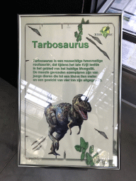 Explanation on the Tarbosaurus at the Lower Floor of the Dinohal building of the Oertijdmuseum