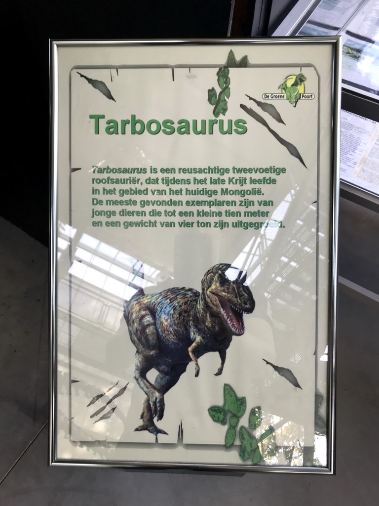 Explanation on the Tarbosaurus at the Lower Floor of the Dinohal building of the Oertijdmuseum