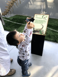 Max making a photo of the skeleton of a Diplodocus at the Lower Floor of the Dinohal building of the Oertijdmuseum, with explanation