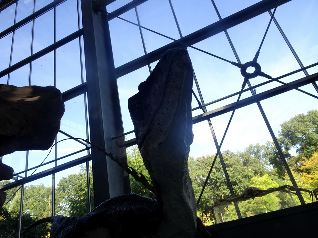 Dinosaur skeleton at the Lower Floor of the Dinohal building of the Oertijdmuseum