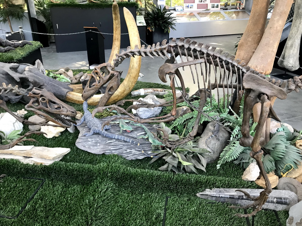 Lizard statues and skeletons of Velociraptors at the Lower Floor of the Dinohal building of the Oertijdmuseum