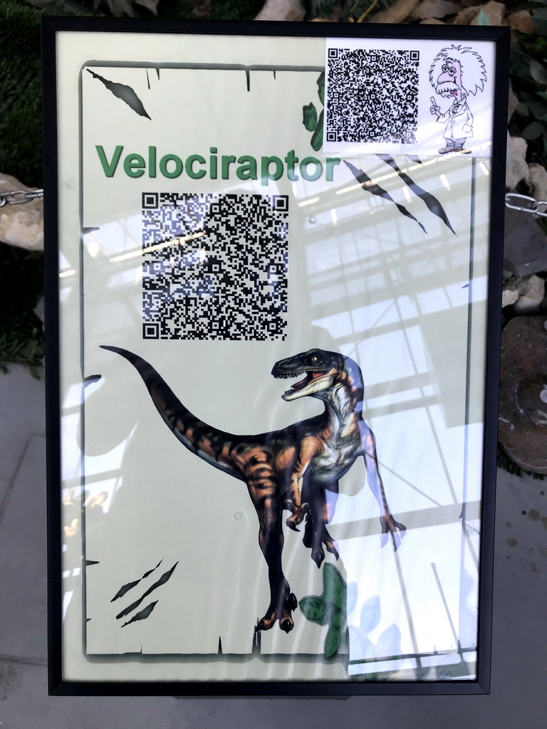 Explanation on the Velociraptor at the Lower Floor of the Dinohal building of the Oertijdmuseum