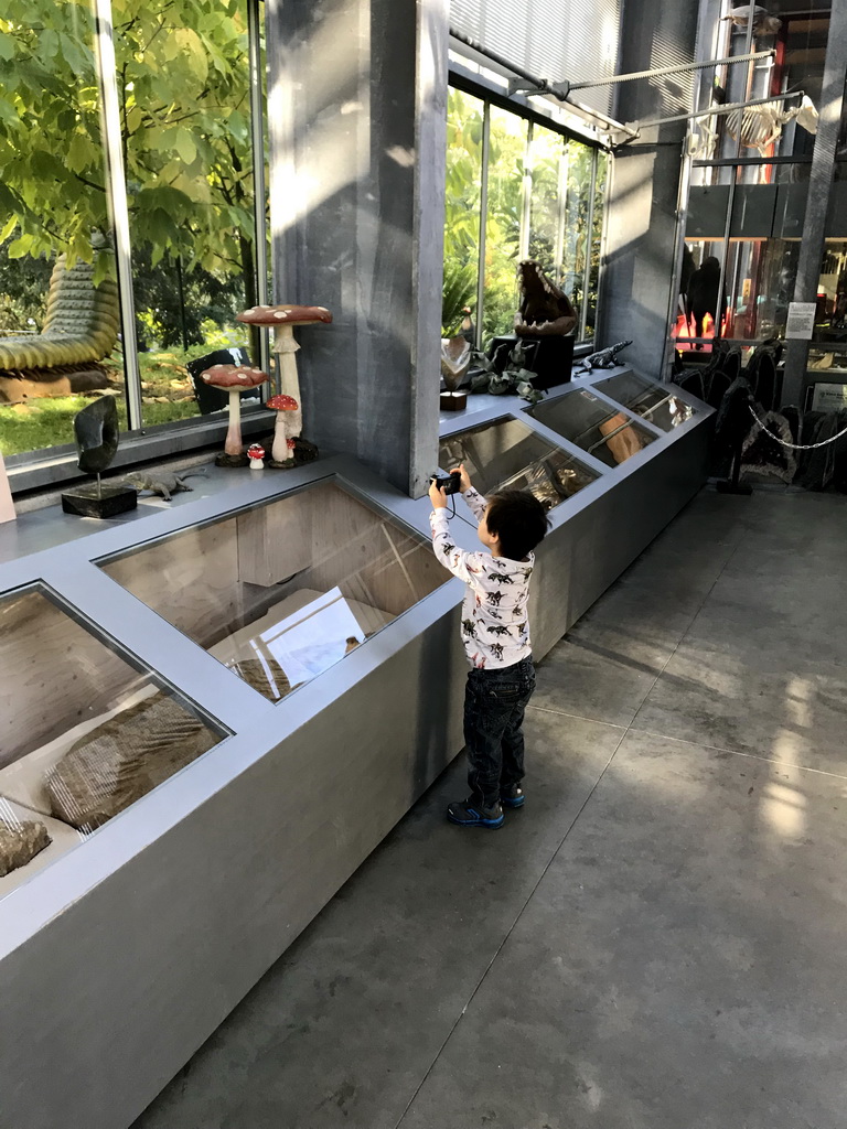 Max making photos of mushroom statues at the Lower Floor of the Dinohal building of the Oertijdmuseum