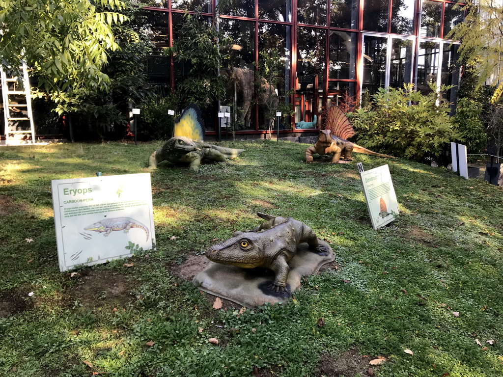 Statues of an Eryops and Dimetrodons in the Garden of the Oertijdmuseum, with explanation