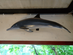 Statue of a Dolphin hanging on the wall of the restaurant at the Lower Floor of the Museum building of the Oertijdmuseum