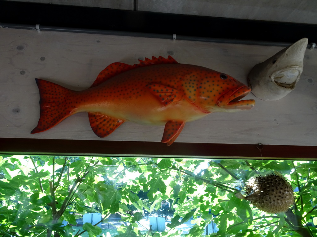 Statues of fish hanging on the wall of the restaurant at the Lower Floor of the Museum building of the Oertijdmuseum