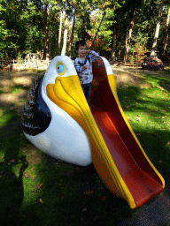 Max on a Pelican slide at the playground in the Oertijdwoud forest of the Oertijdmuseum