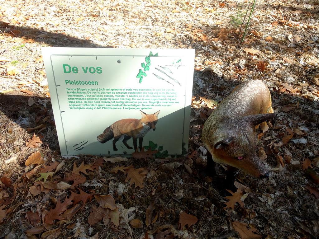 Statue of a Fox in the Oertijdwoud forest of the Oertijdmuseum, with explanation