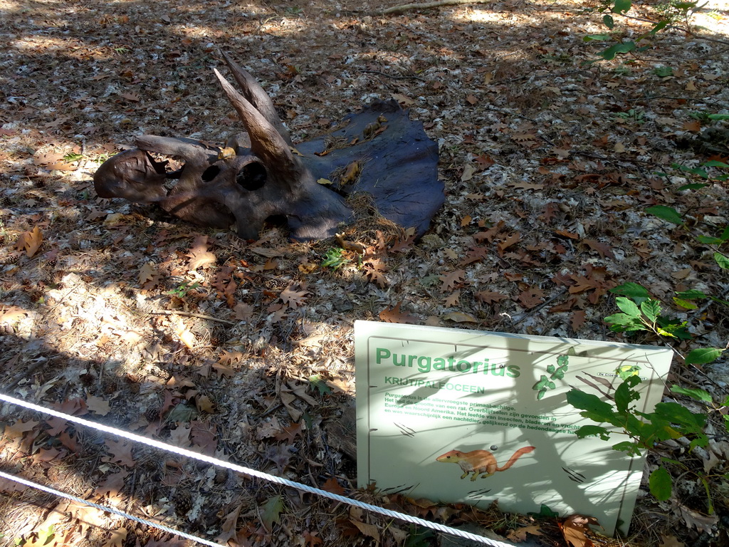 Statues of Purgatoriuses on the skull of a Triceratops in the Oertijdwoud forest of the Oertijdmuseum, with explanation