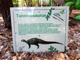 Explanation on the Tenontosaurus being attacked by Deinonychuses in the Oertijdwoud forest of the Oertijdmuseum