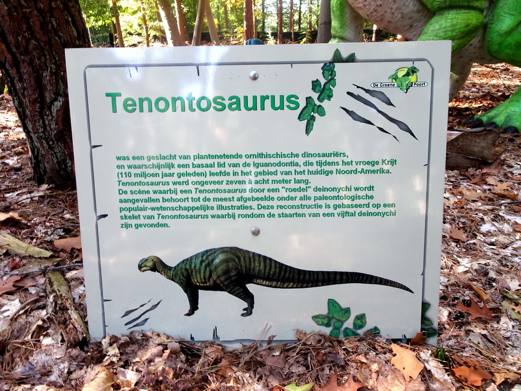 Explanation on the Tenontosaurus being attacked by Deinonychuses in the Oertijdwoud forest of the Oertijdmuseum